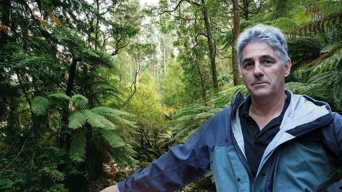 david lindenmayer standing in front of a dandenong native forest