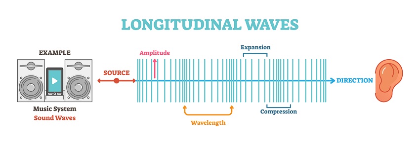 Diagram of longitudinal wave. Credit vectormine getty images 850