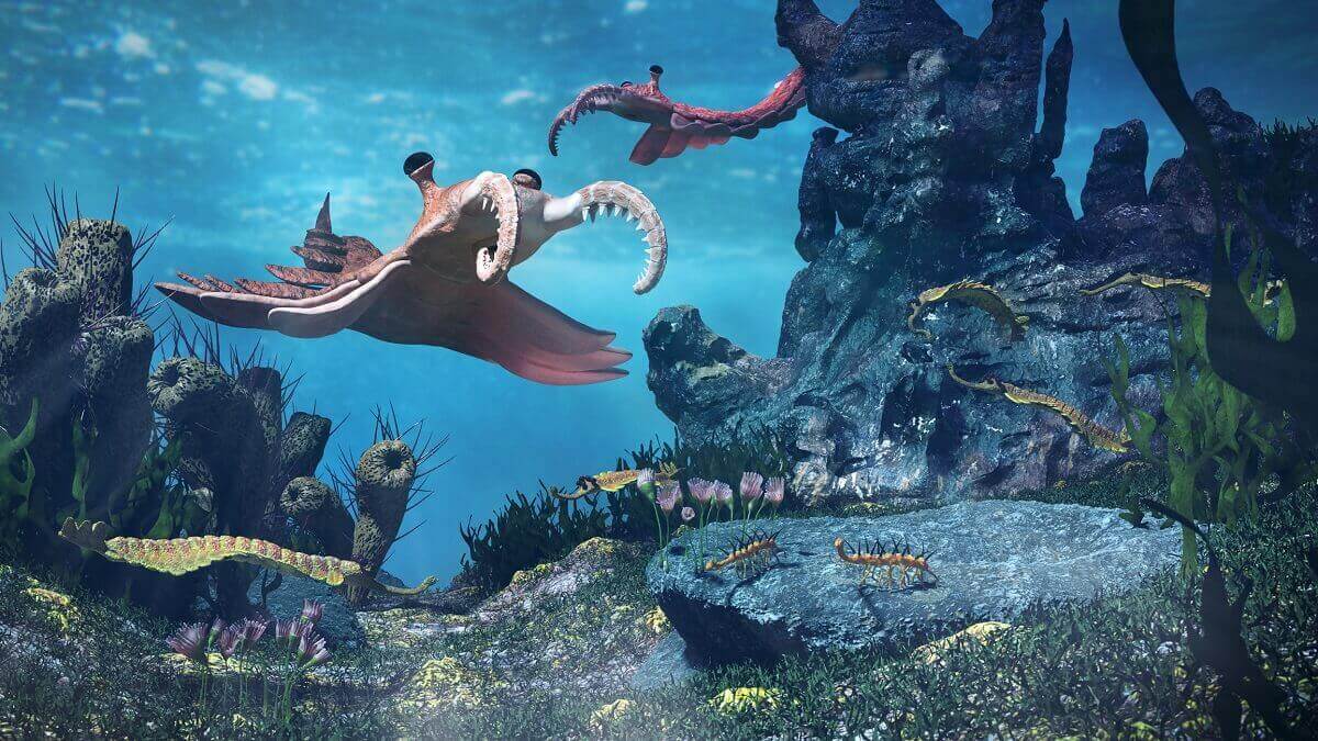 Artist's impression of strange animal ancestors under the ocean