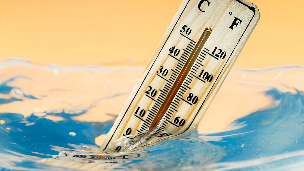 A wooden thermometer bobs in blue water