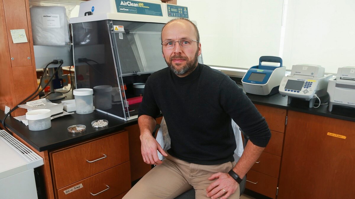 Balding man with glasses poses in an office