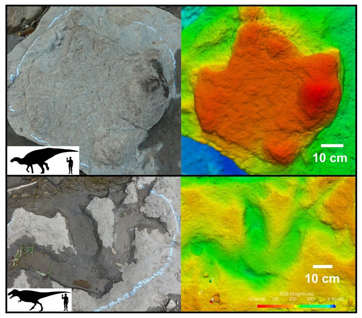 Four photos showing two types of dino footprints