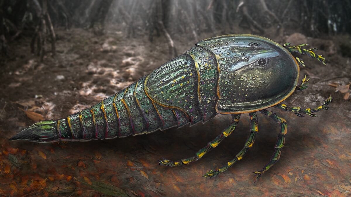 An artistic reconstruction of a sea scorpion in its habitat