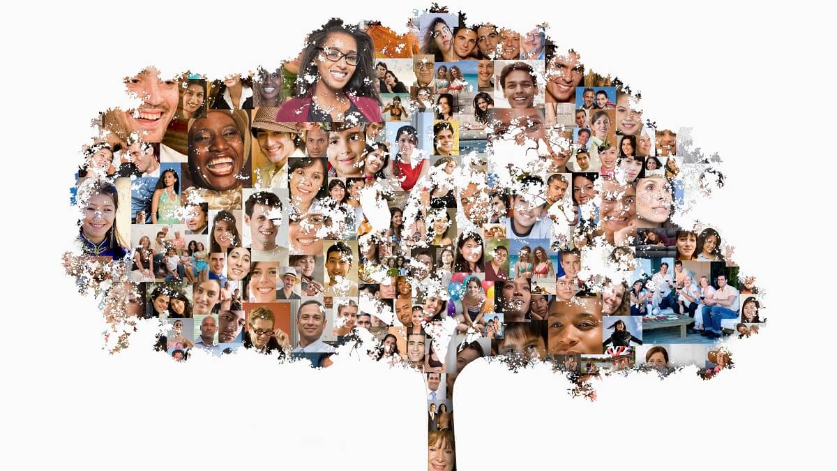 A tree made of photos of a diverse group of people