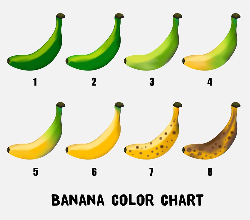 Banana bag concept the stages of banana ripening from green to brown