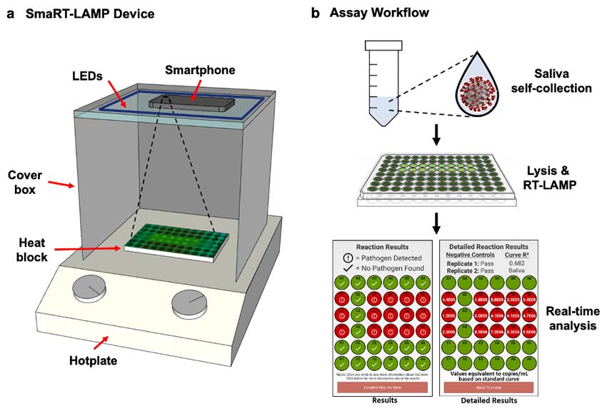 Scientific figure with overview of the smart-lamp device setup and workflow for the device the samples are placed on a hotplate to maintain temperature, covered with a box with leds inside and smartphone looks through a hole at the top of the box