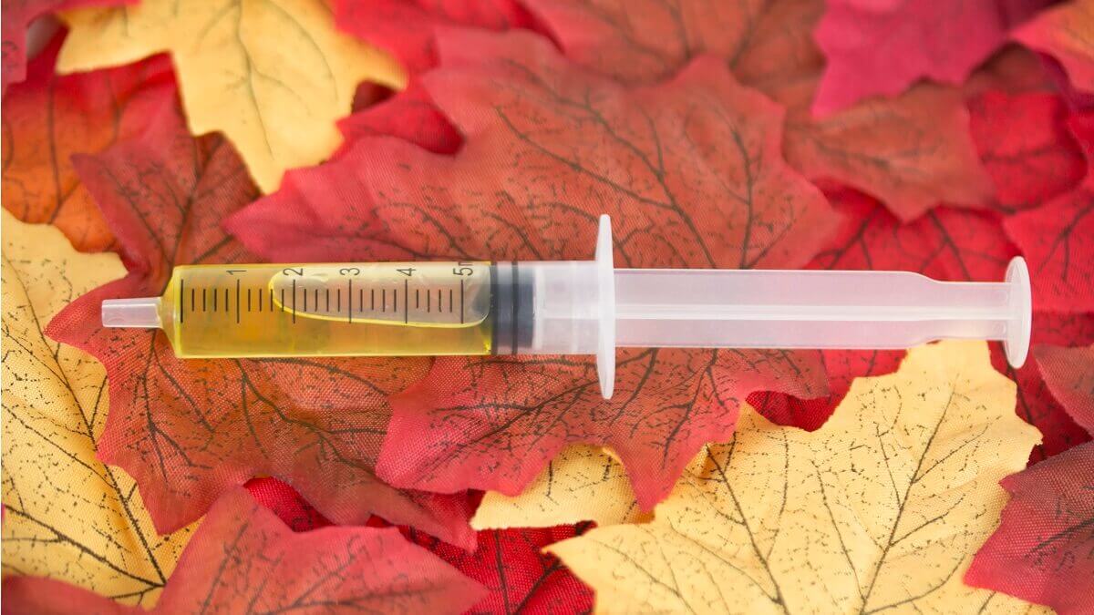 syringe on top of autumn leaves
