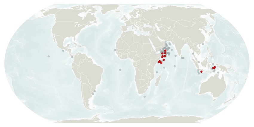 World map with several dozen grey dots in the ocean, mostly off the coast of somalia and the arabian peninsula and indonesia, with a dozen red dots in these areas as well