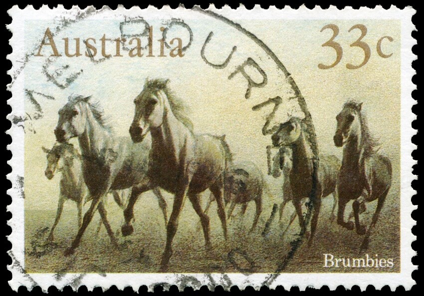 A stamp printed in australia shows the brumbies horses series circa 1986. Credit alexanderzam getty images 850
