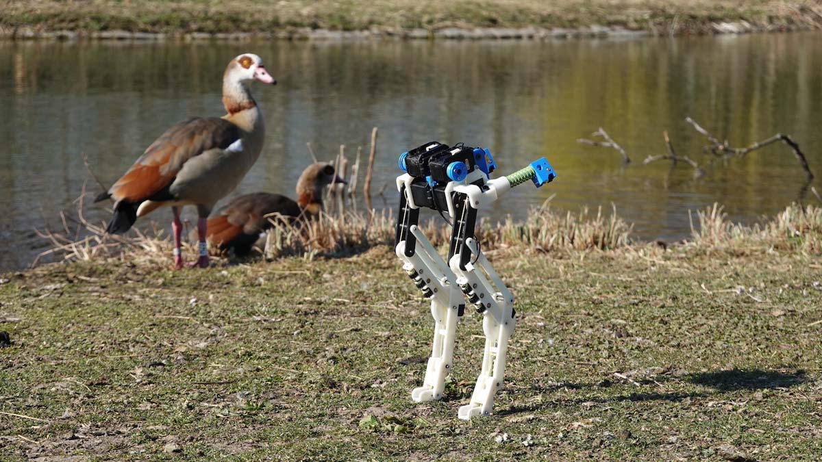 Robotic bird legs