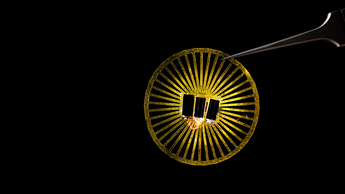 Miniature device the size of a dandelion seed