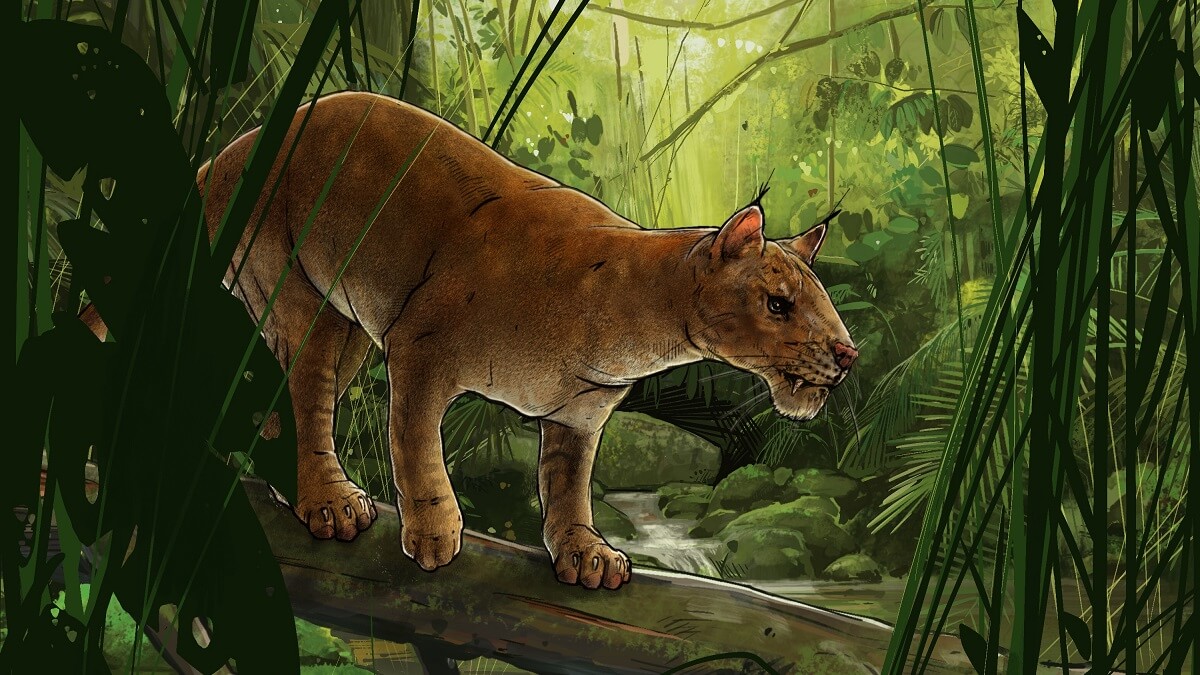 A new sabre-toothed mammal,