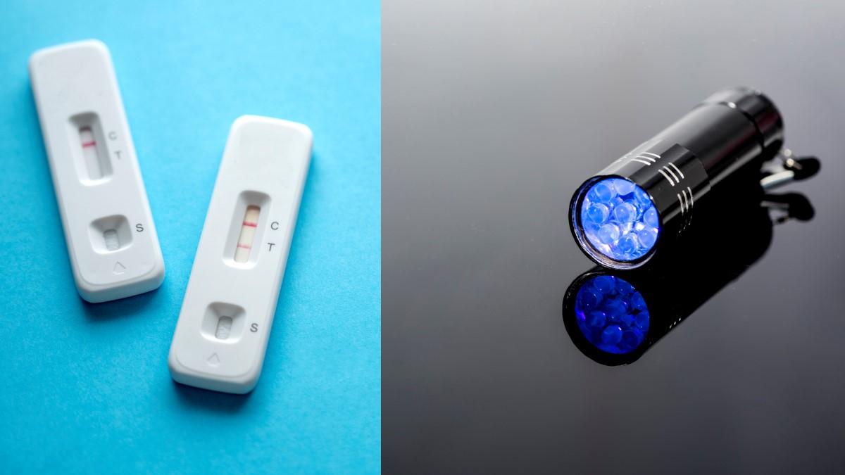 photos of rapid antigen tests and UV torch