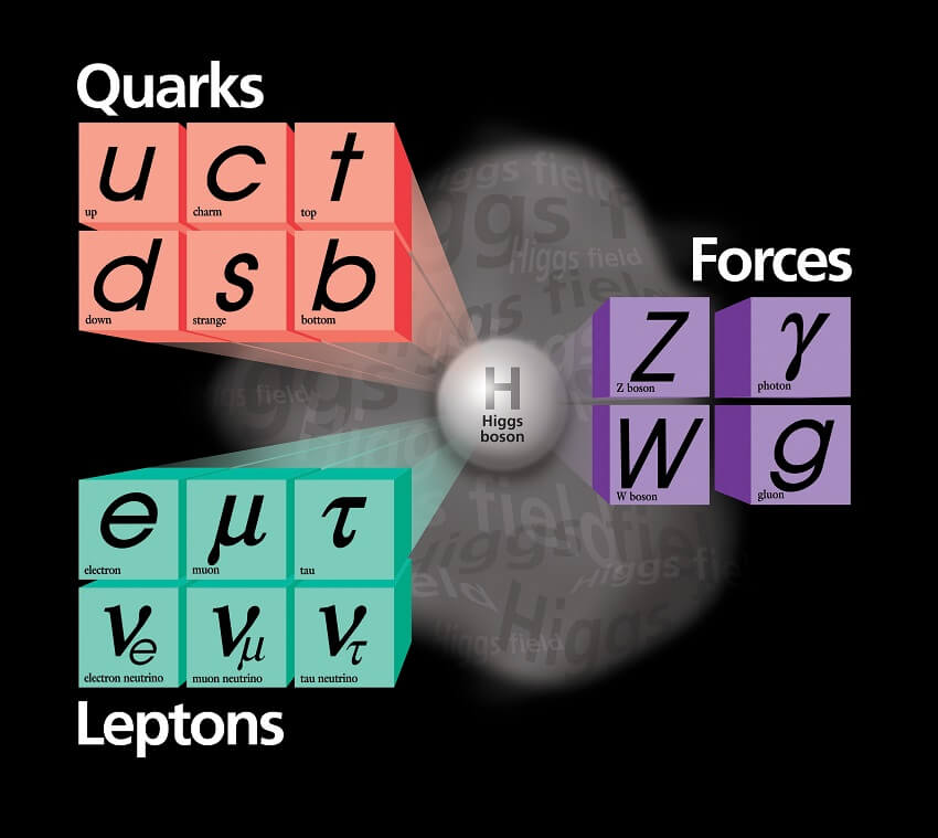 Picture of standard model with higgs boson branching out to grids of quarks, forces and leptons