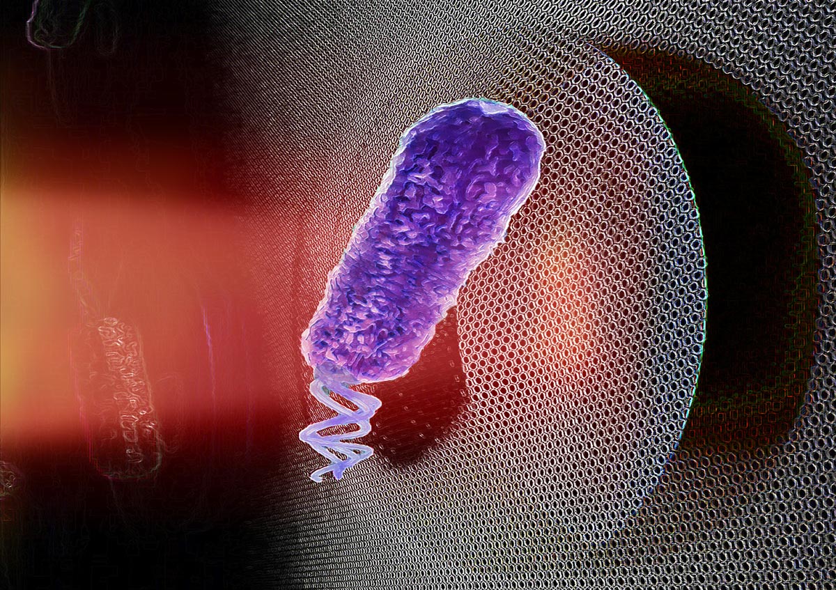 Drum-playing bacteria vs. antibacterial resistance
