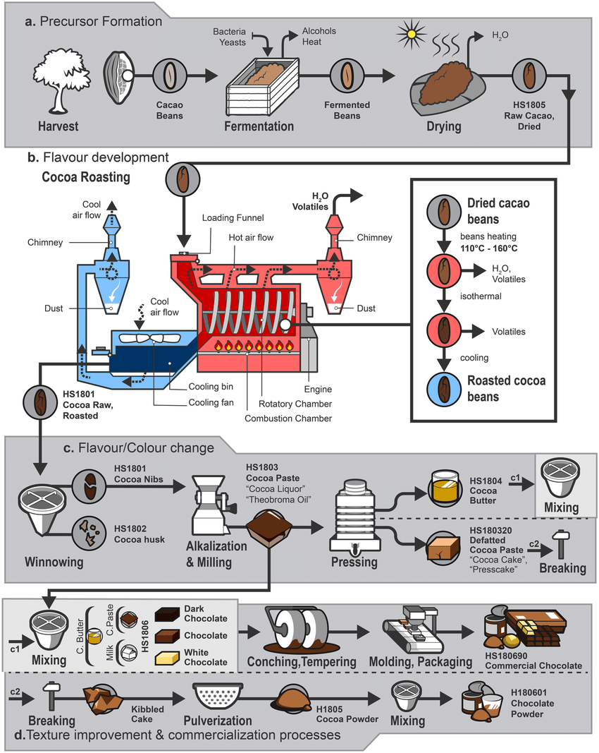 Factory process chocolate making
