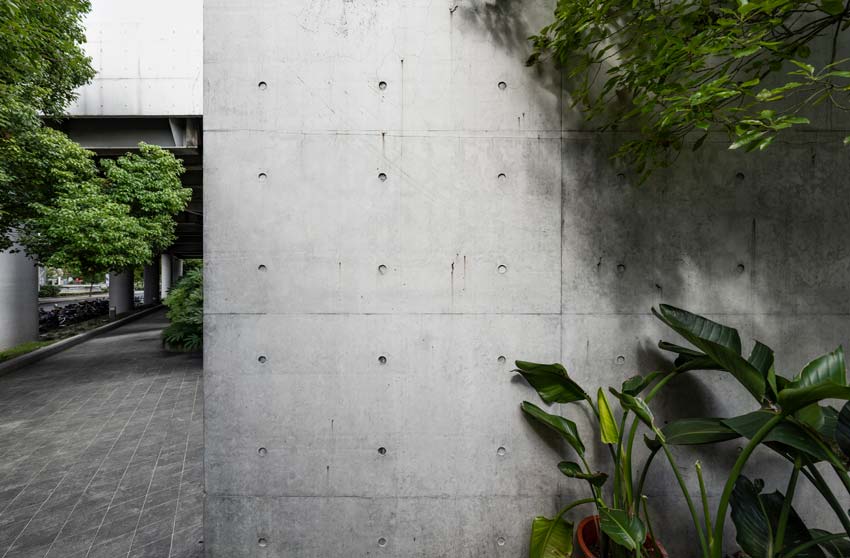 Building material concept a concrete wall with plants in front of it