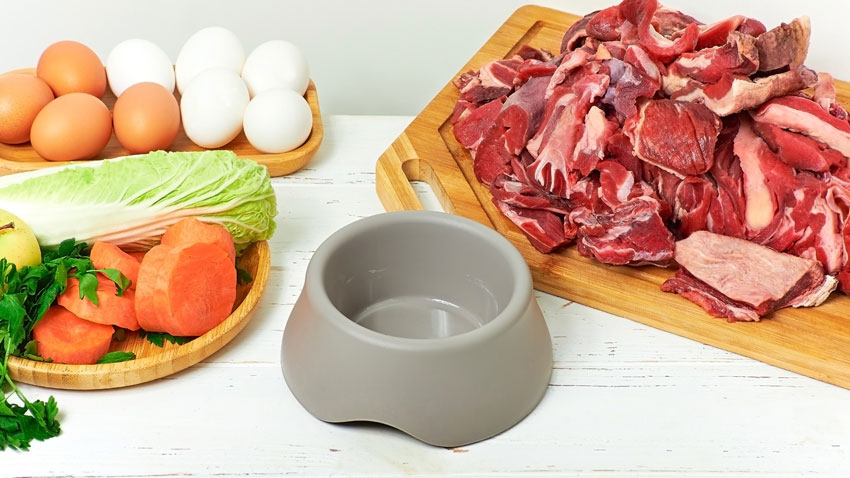 Vegan dogs concept a dog food bowl with raw vegetables and eggs on a chopping board to the left and raw meat on a chopping board to the right