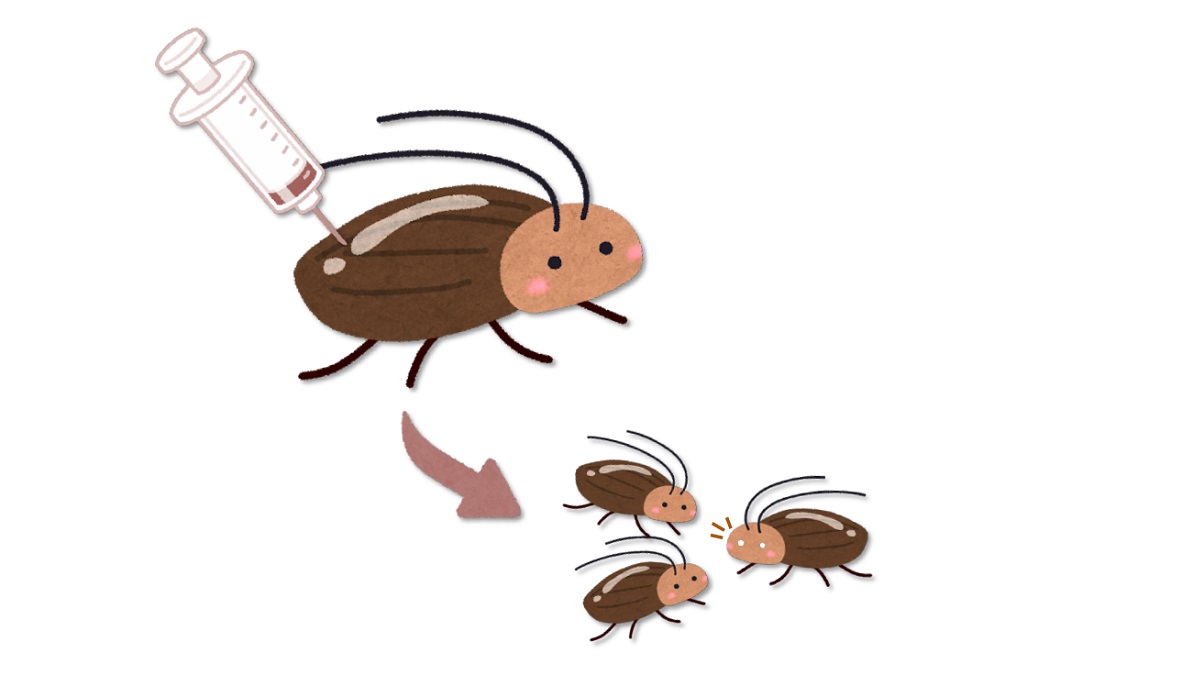 cartoon of syringe injected into big cockroach, with arrow pointing to three baby cockroaches, one of which has white eyes