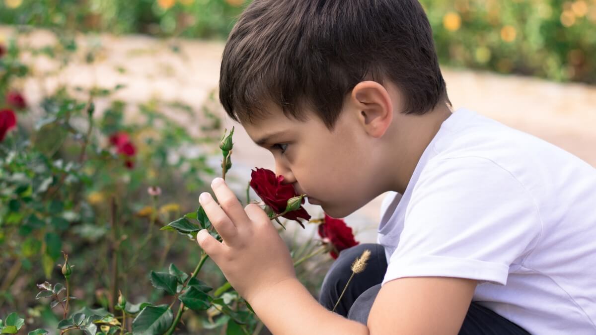 boy smelling flower