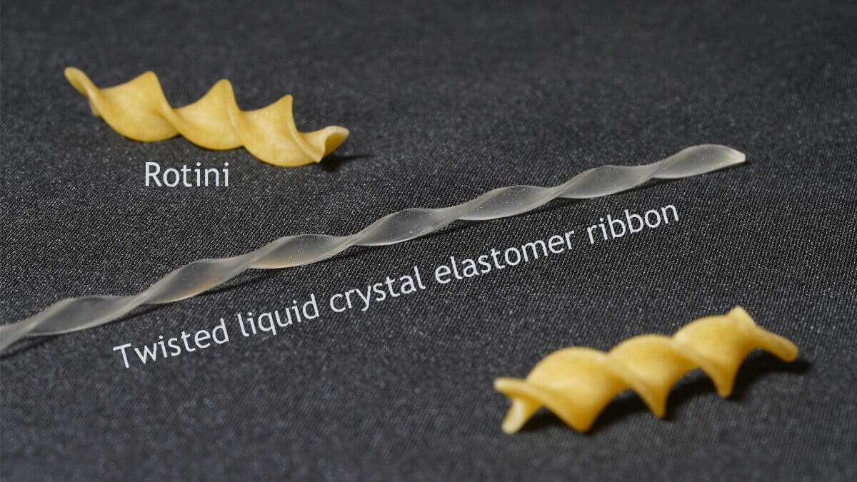 two pieces of pasta labelled 'rotini' and long, translucent twisted strip labelled 'twisted liquid crystal elastomer ribbon'