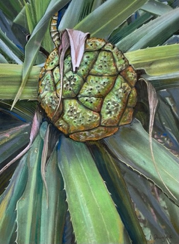 Digital painting of knobbly green fruit in palm leaves