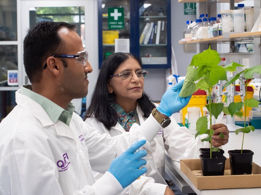 Two people in a lab examining plants in pots