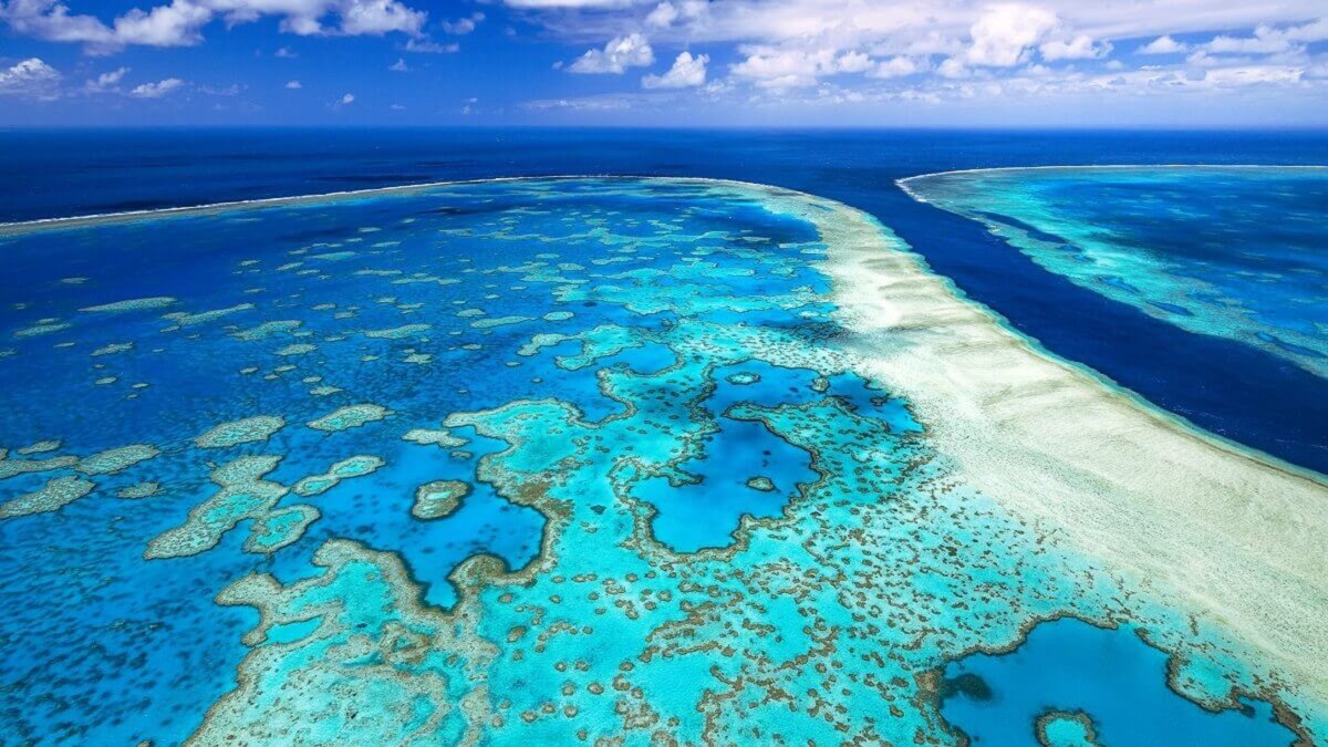 Aerial of Hardy reef, in the Great Barrier Reef