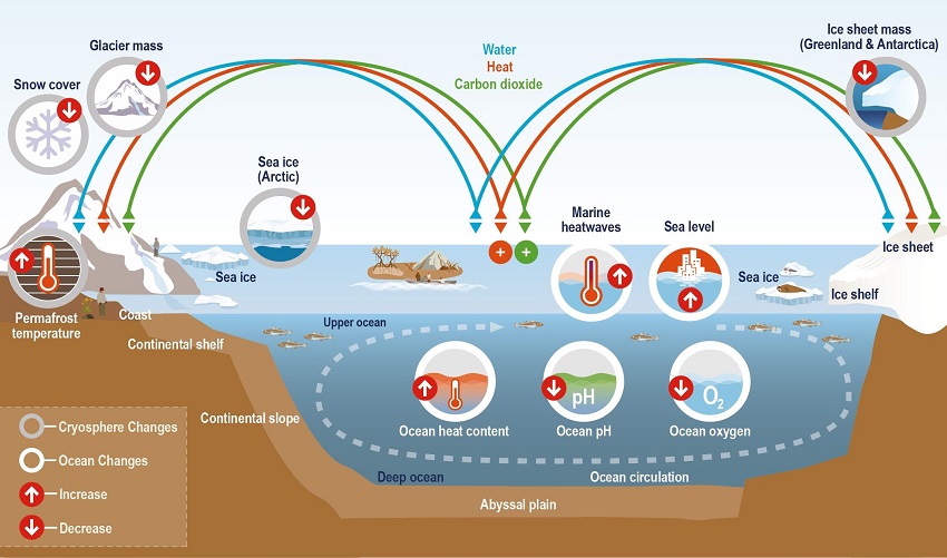 Climate change, global warming, ocean acidification, sea-level rise, ocean warming