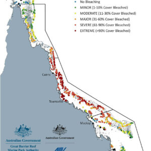 Map1 gbrmpa aerial survey gbr reef avg bleaching scores all categories mar2022