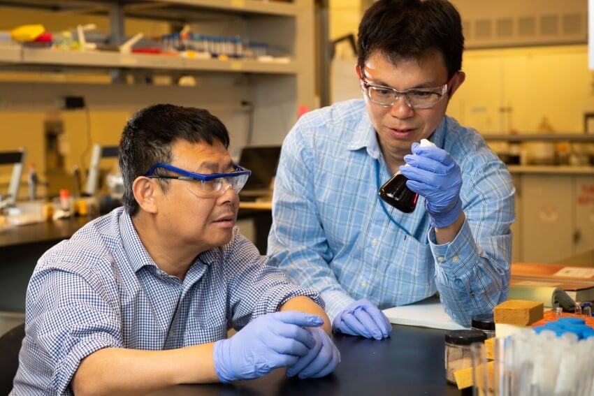 Artificial enzyme concept two male researchers wearing safety glasses and gloves and looking at a chemical flask