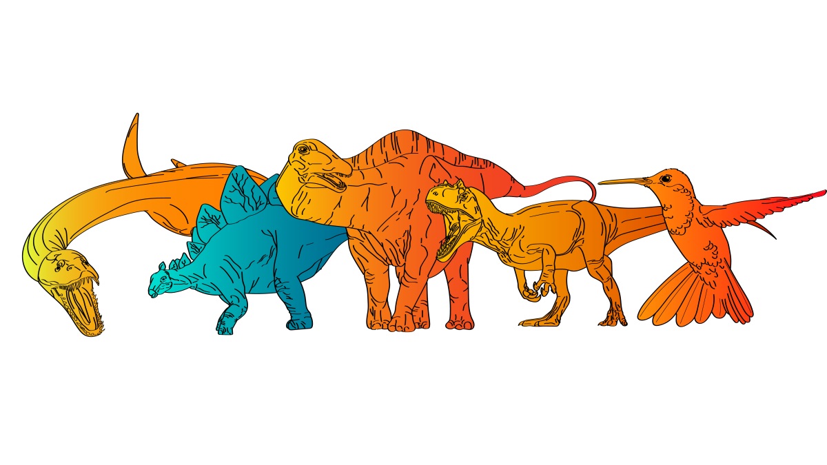 colour-coded-dinos