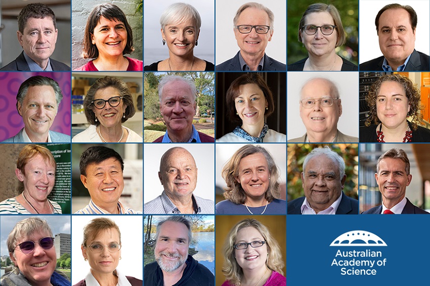 Academy of science, fellows, diversity in stem