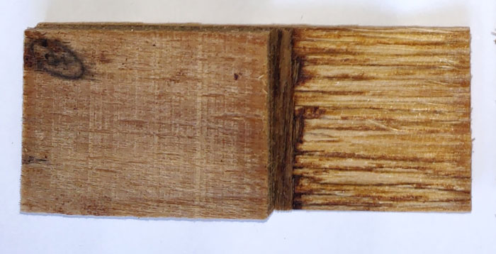 A closeup photograph showing a cross-section of the plywood made with the new nontoxic woodglue