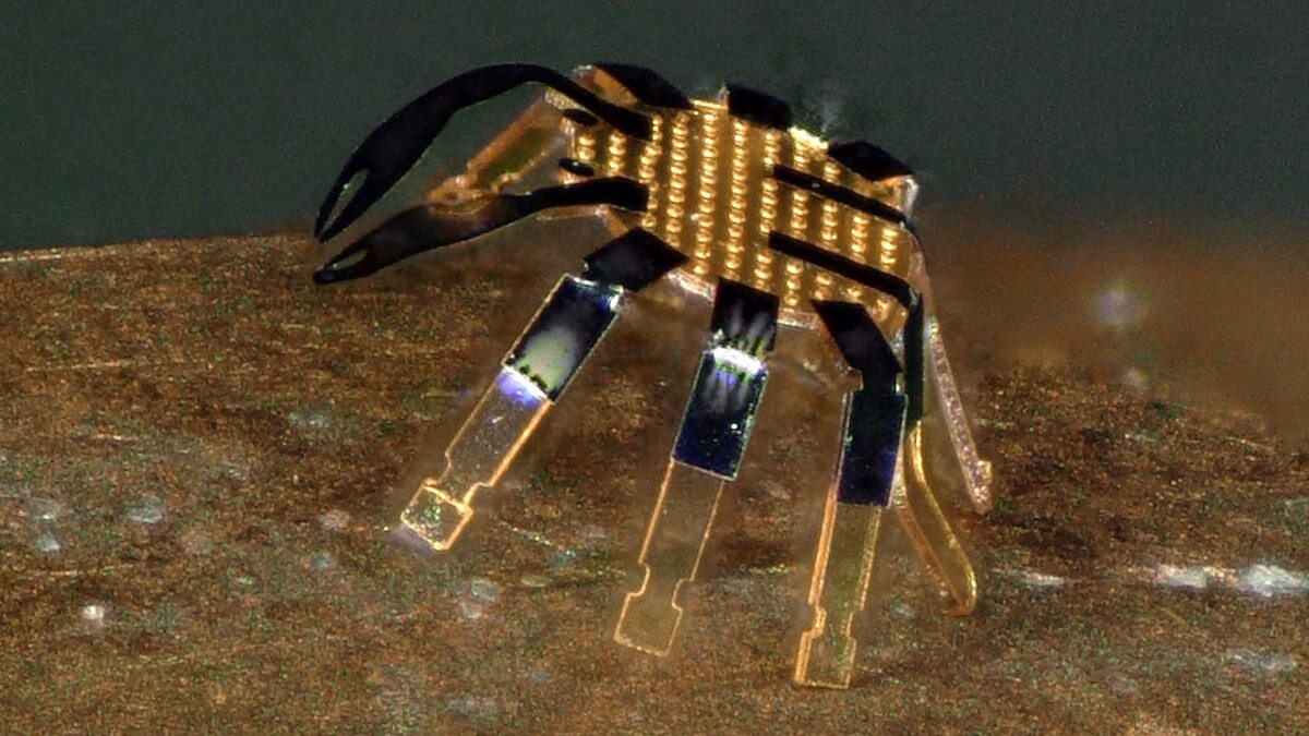 closeup of a tiny robotic crab standing on the edge of a coin