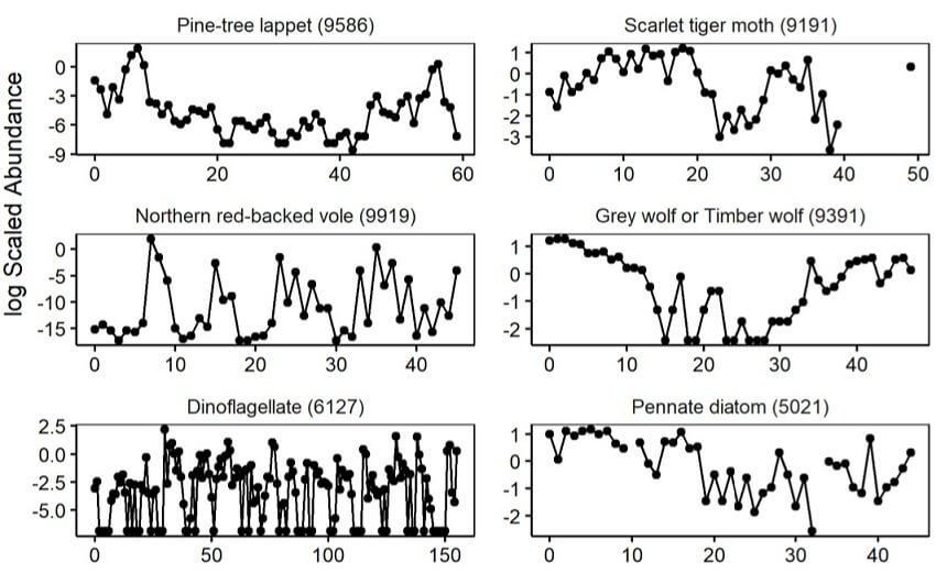 Six time series plots of different species, all time series look visibly different