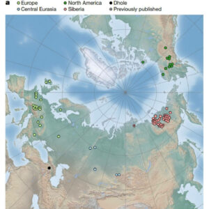 Ancient wolf genomes map. Credit bergstrom et al. 2022