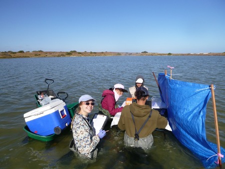 People waist deep in the coorong lagoon, taking notes on clip boards ad moving an esky floating on the surface