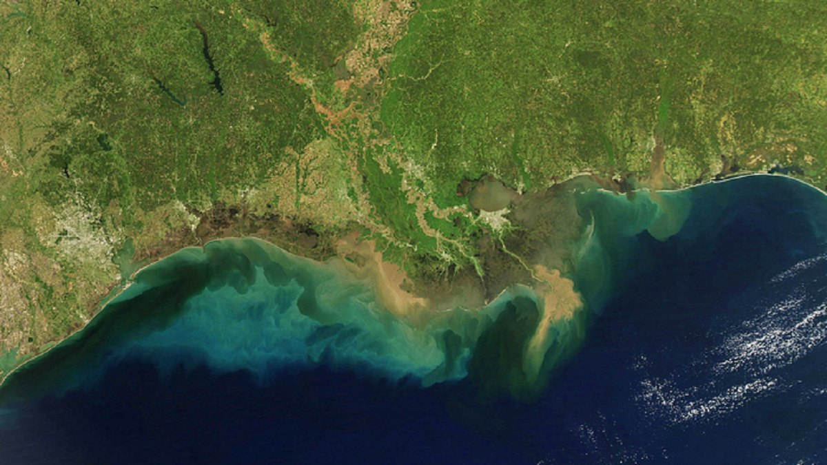 La antigua vida oceánica en el Golfo de México escapó a la extinción
