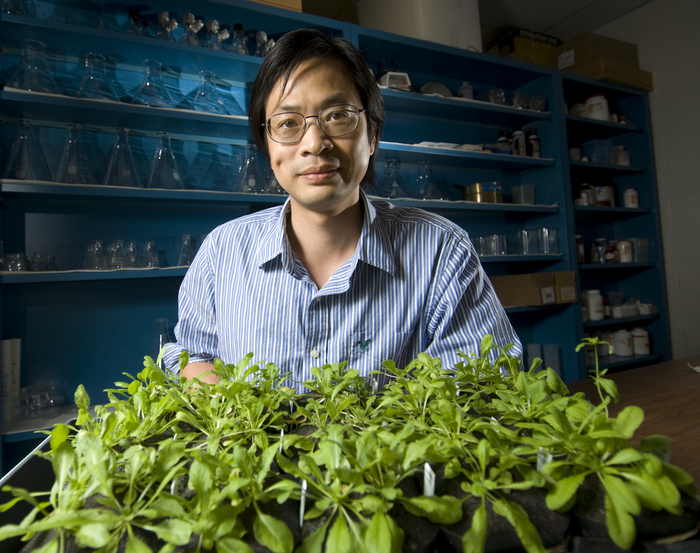 Plant resilience to heatwaves concept portrait of sheng-yang he sitting behind a tray of green plants in a laboratory