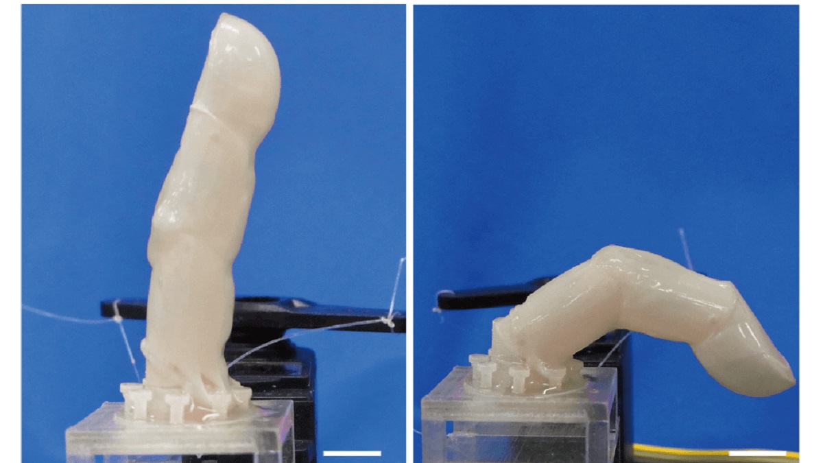 The human skin covered robots finger bending