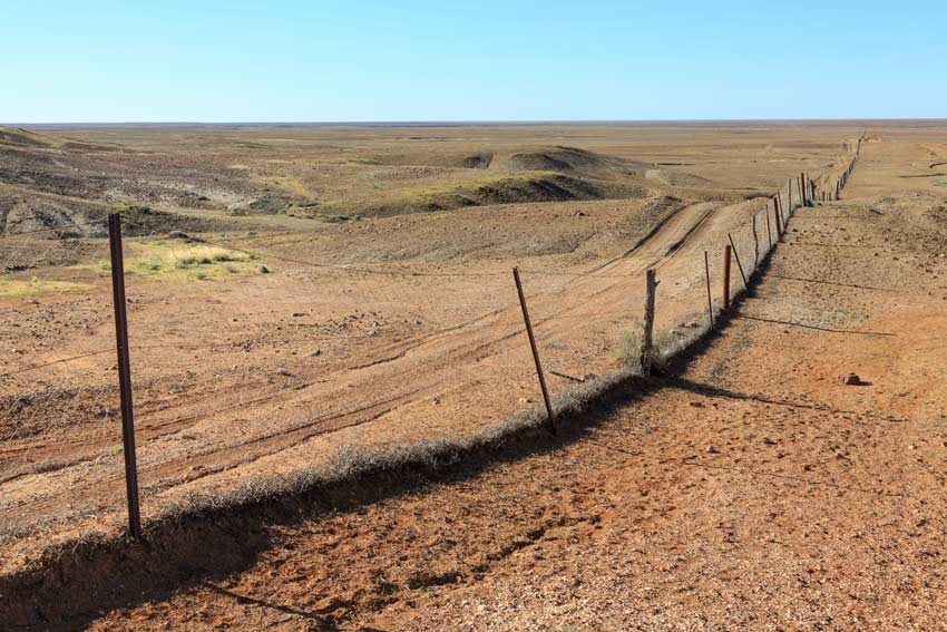 Photograph of dingo fence a wire fence running along an arid landscape
