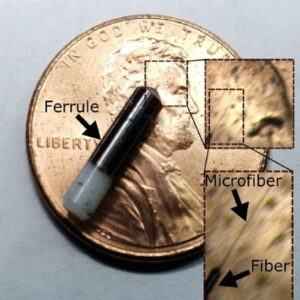 Photograph of a small capsule supporting the neural probe, with a closeup of the microfiber tip