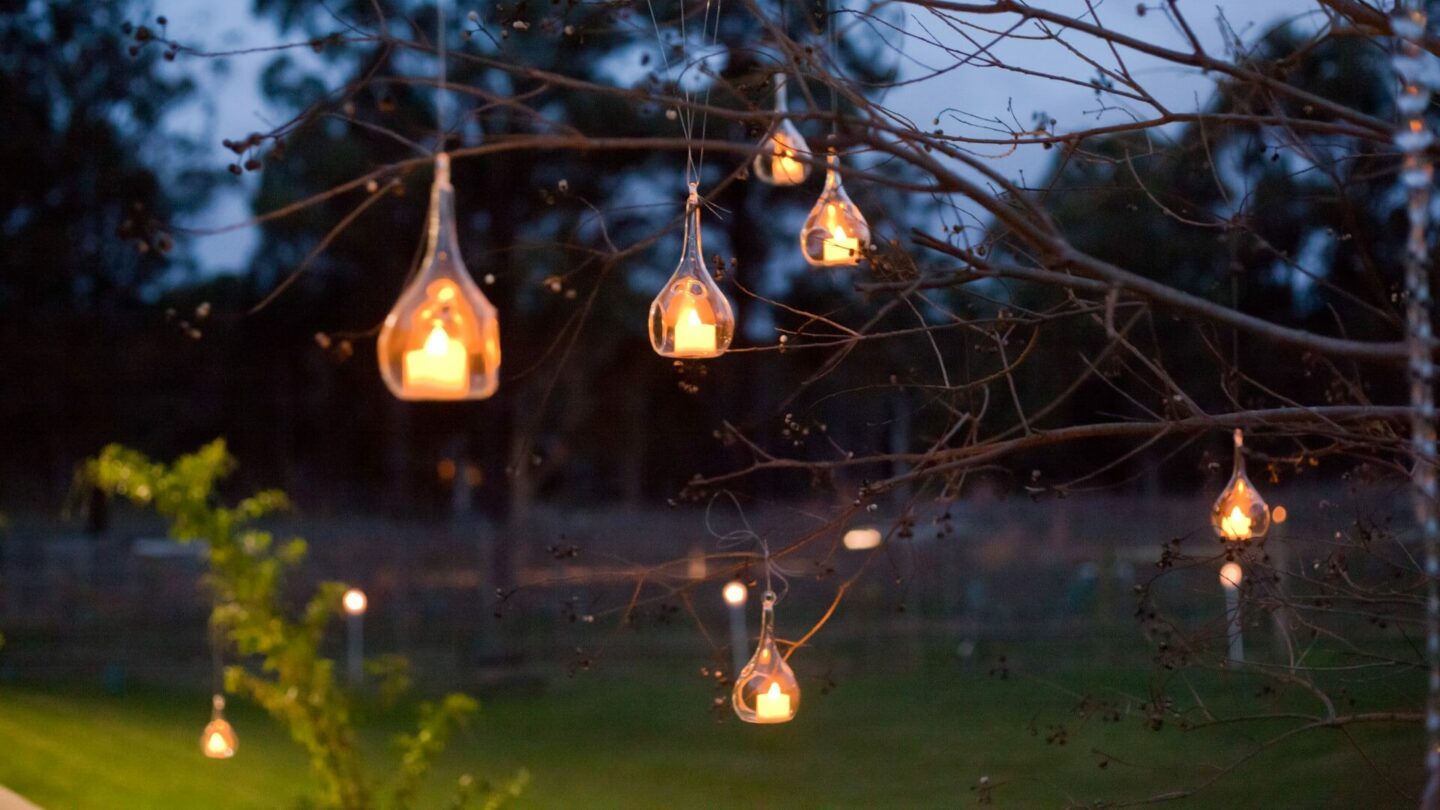 candles hanging from a tree in the Hunter Valley, representing electrification in the Hunter