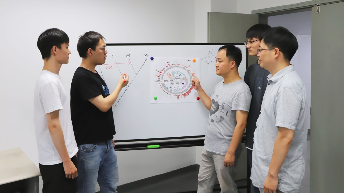 Reserchers from zhejiang university in hangzhou look at evolutionary chart on whiteboard.
