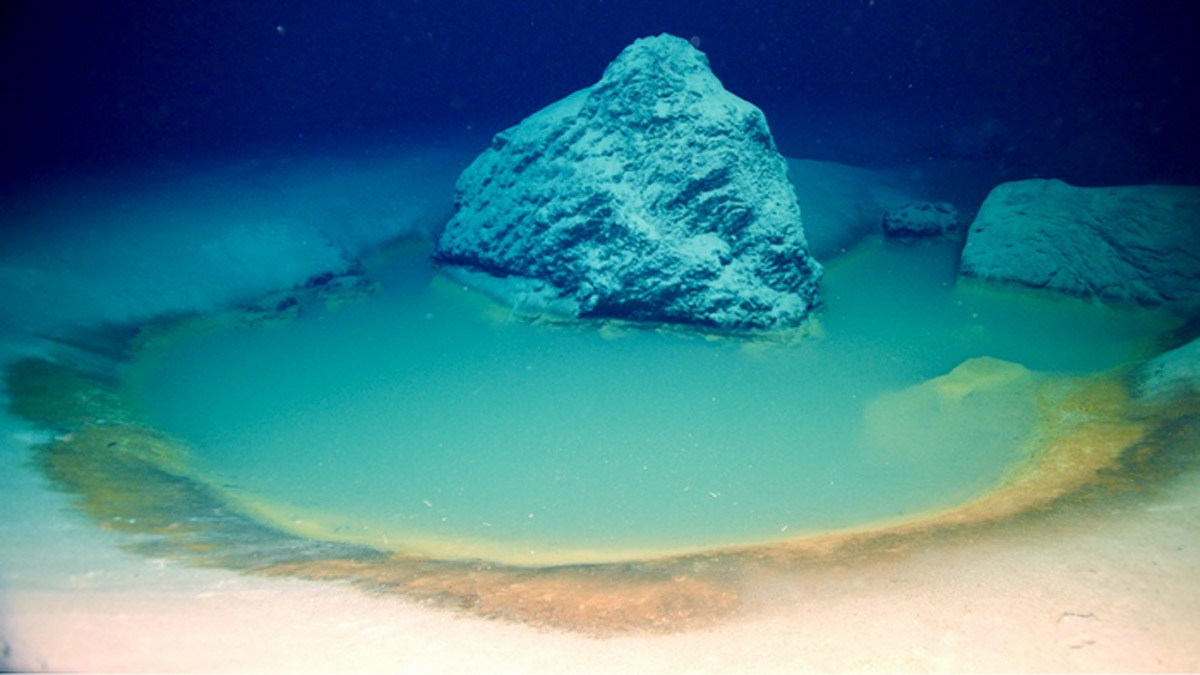 Brine pools are one of the most extreme environments on Earth, yet despite their high salinity, exotic chemistry, and complete lack of oxygen, these pools are teeming with life