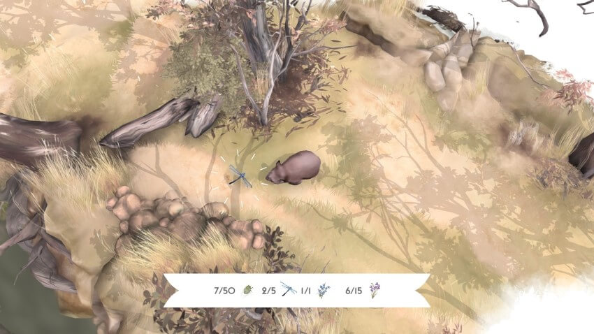Screenshot of video game showing drawing of wombat encountering dragonfly
