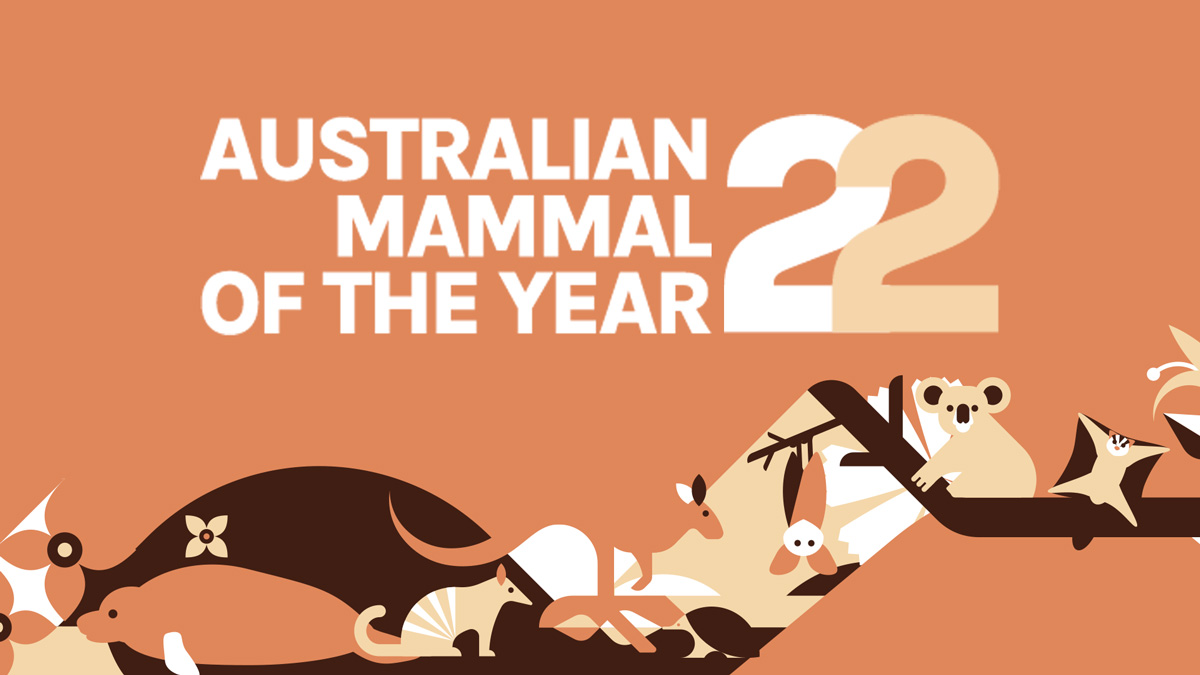 Australian mammal of the year 2022 mammals