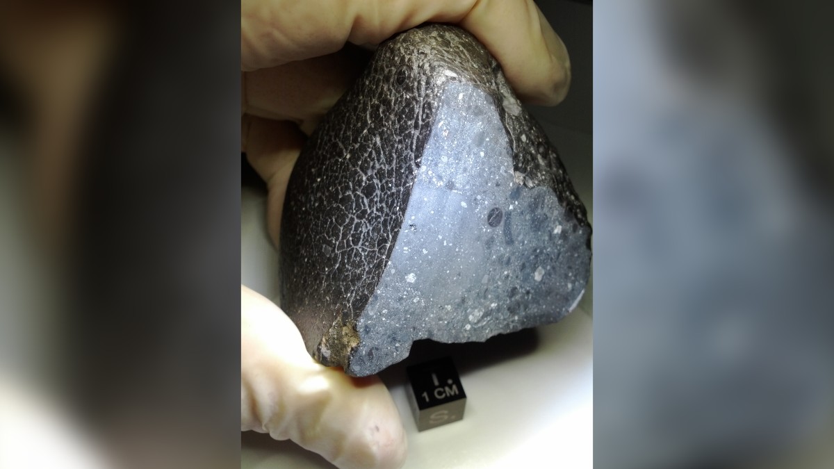 black-beauty-meteorite-nasa