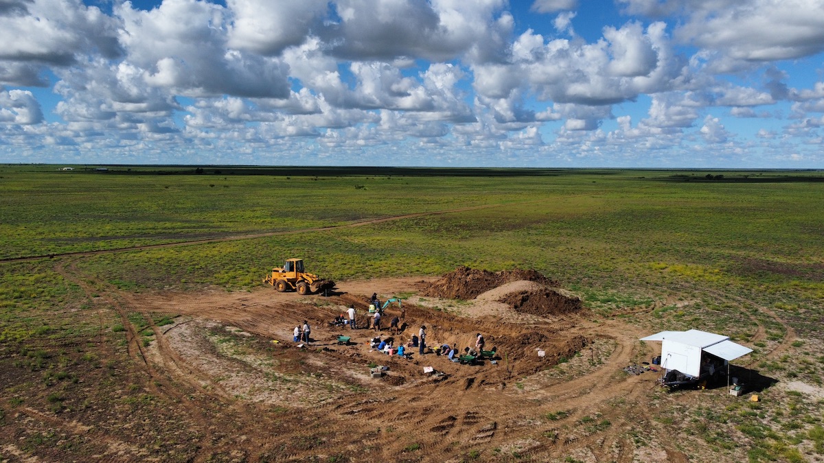 Mitchell site 2022 dig week 3 sauropod teeth found here trish sloan australian age of dinosaurs museum